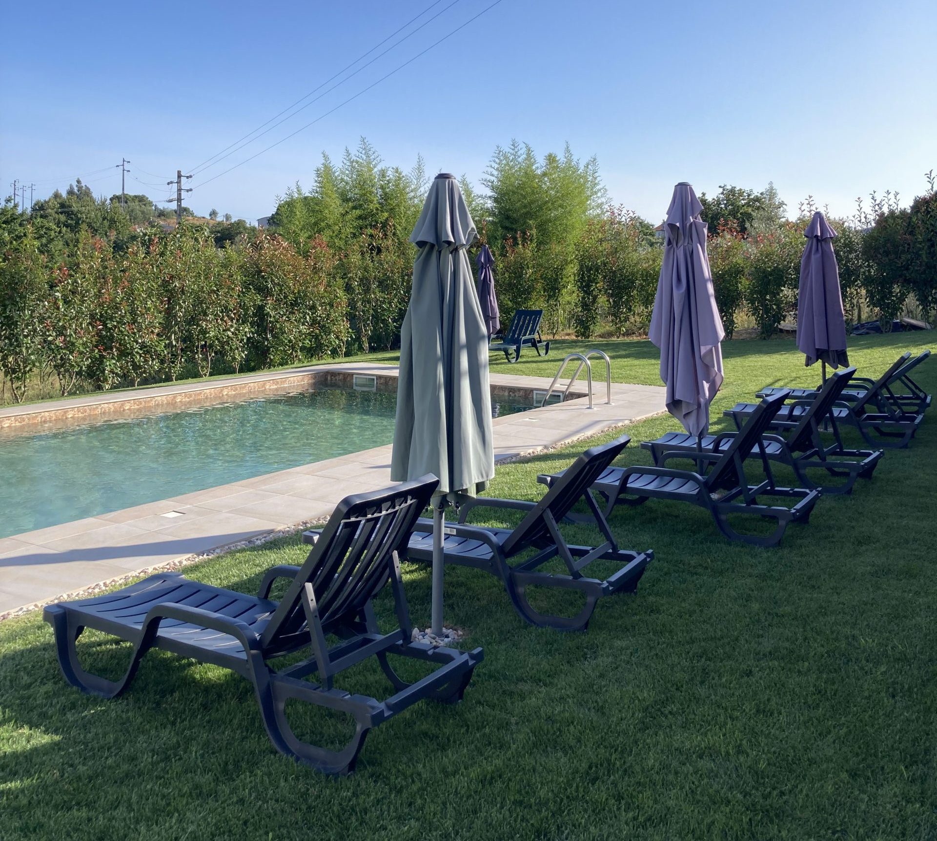 Piscina & Jardim